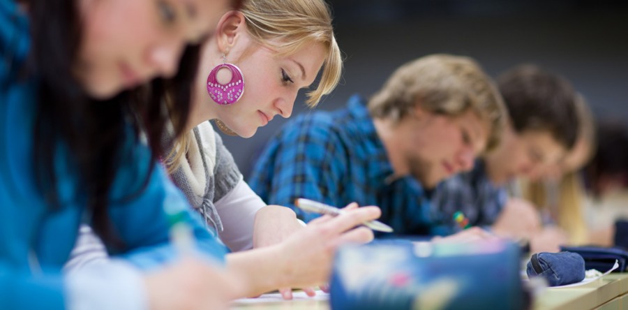 Etiam dictum egestas